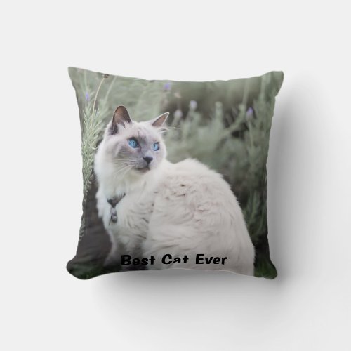 Modern Personalized 2 Photo Best Cat Ever Throw Pillow
