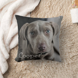 Modern Personalized Dog 2 Photo Throw Pillow