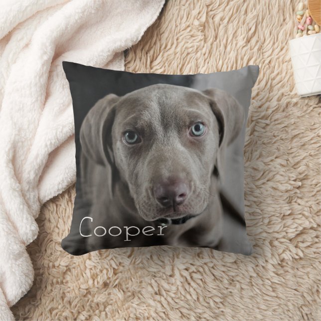 Modern Personalized Dog 2 Photo Throw Pillow (Blanket)