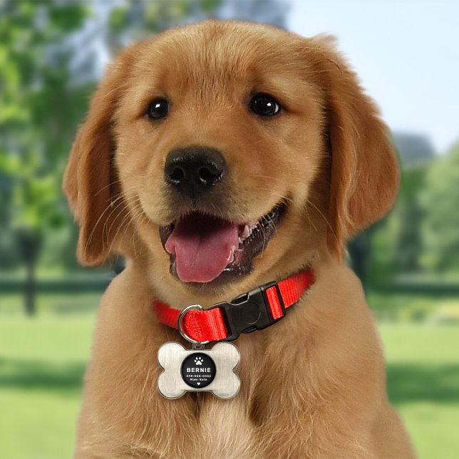 Modern Personalized Dog Name Black and White Pet ID Tag (Creator Uploaded)