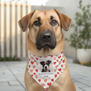 Modern Personalized Dog Valentine Bandana Pet Bandana Collar