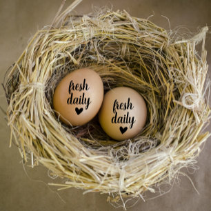 Modern Personalized Farm Fresh Eggs  Rubber Stamp