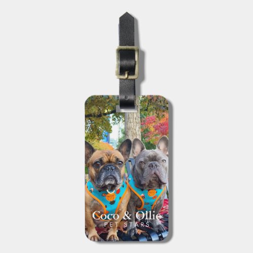Modern Personalized Giveaway Winners Coco  Ollie Luggage Tag