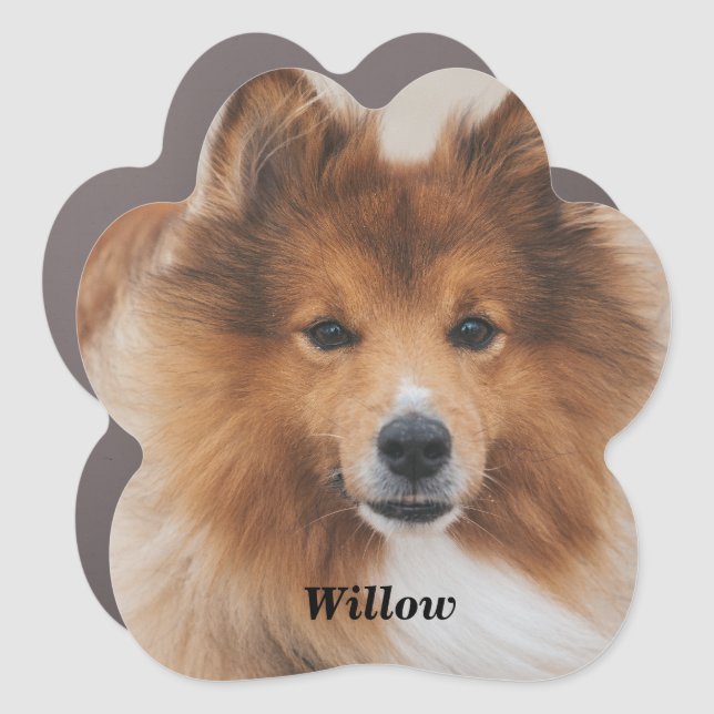 Modern Personalized Pet Dog Photo and Name Car Magnet (Front)