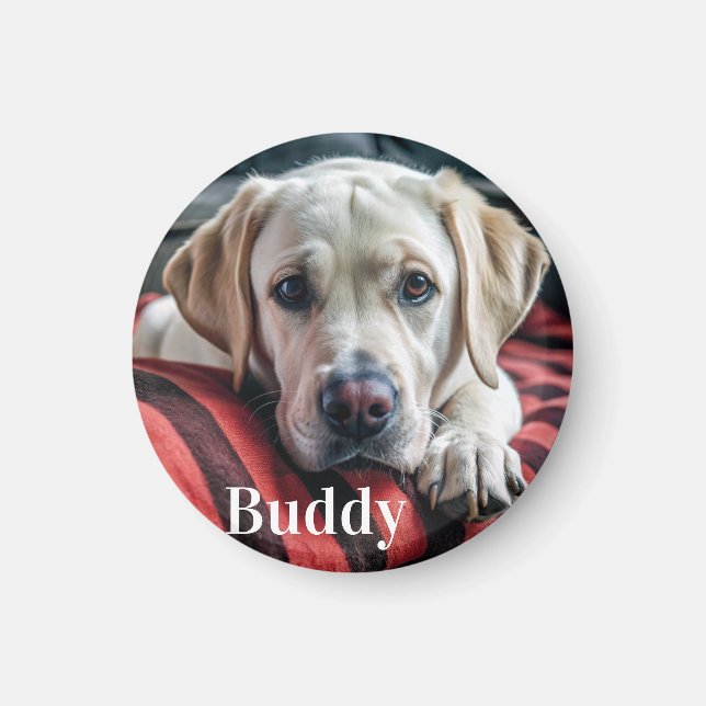 Modern Personalized  Pet Photo Name Dog Lover  Magnet (Front)
