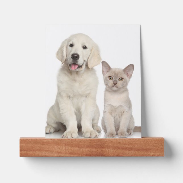 Modern Personalized Pet Photo  Picture Ledge (Front)
