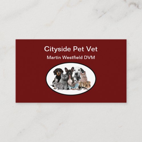 Modern Pet Care Veterinarian Business Card