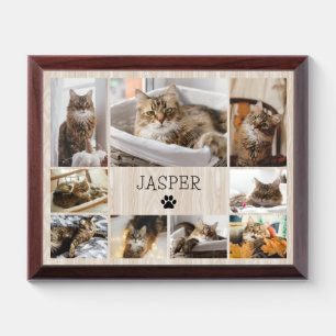 Modern Pet Cat Photo Picture Plaque