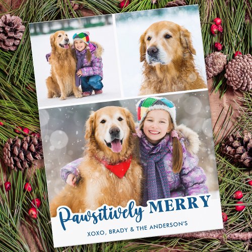 Modern Pet Dog Custom 3 Photo Pawsitively Merry  Holiday Postcard