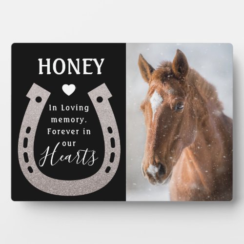 Modern Pet Horse Photo Memorial Plaque