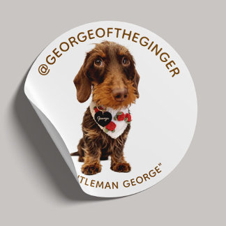 Modern Pet Influencer Custom Photo 1.5" Classic Round Sticker
