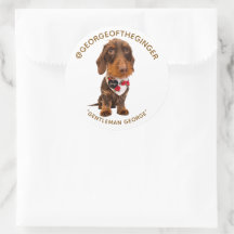 Modern Pet Influencer Custom Photo 3"