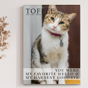 Modern Pet Memorial Cat Loss Photo Keepsake Acrylic Print
