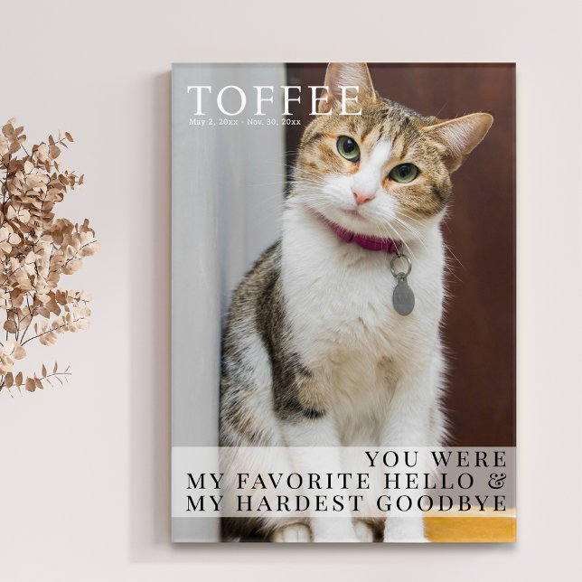 Modern Pet Memorial Cat Loss Photo Keepsake Acrylic Print (Creator Uploaded)