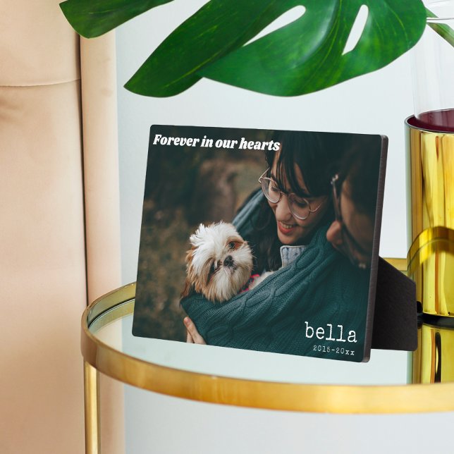 Modern Pet Memorial Pet Photo Plaque (Creator Uploaded)