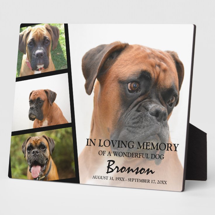 Modern Pet Memorial Photo Collage Plaque Zazzle