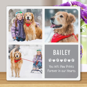 Modern Pet Memorial Photo Collage Plaque