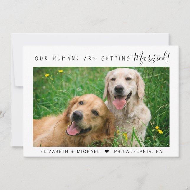 Modern Pet Photo Engagement Announcement (Front)