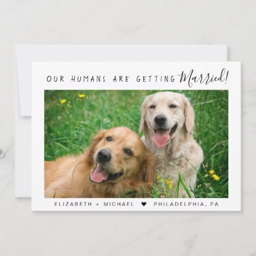 Modern Pet Photo Engagement Announcement