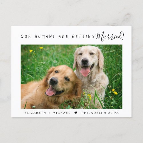Modern Pet Photo Engagement Announcement Postcard