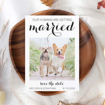 Modern Pet Photo Engagement Dog Wedding Save The D Save The Date