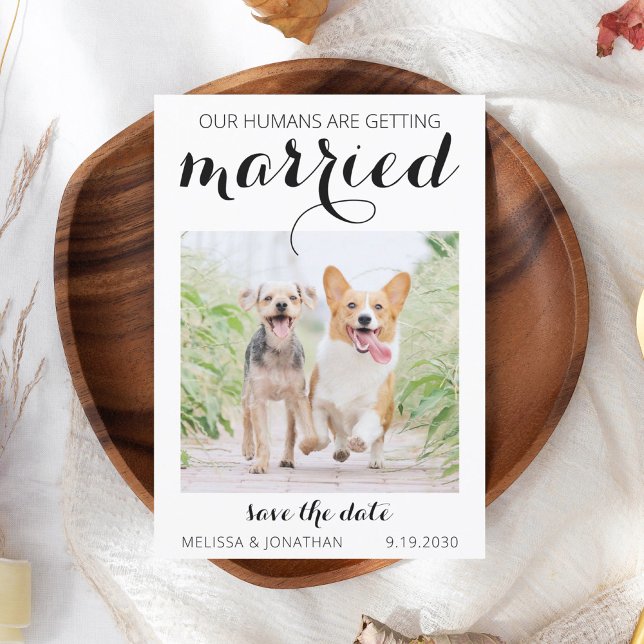 Modern Pet Photo Engagement Dog Wedding Save The D Save The Date (Creator Uploaded)