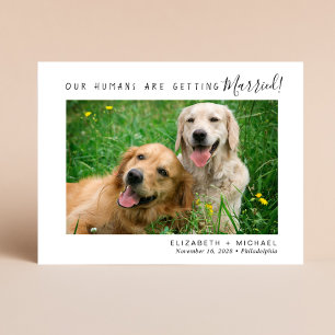 Modern Pet Photo Engagement Save The Date Announcement Postcard