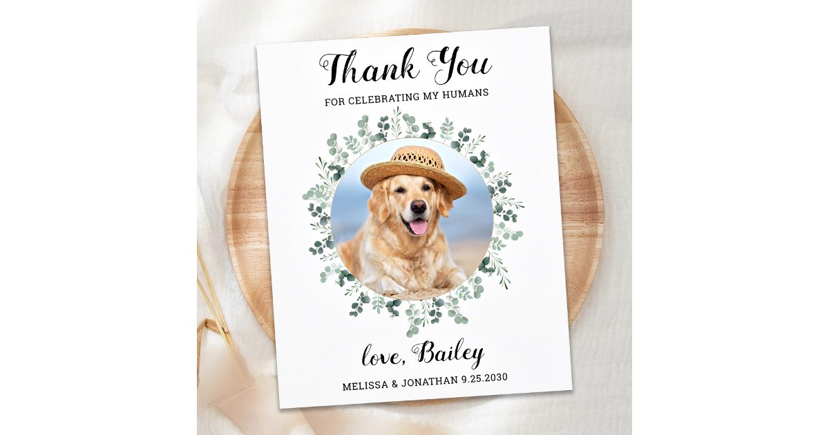 Modern Pet Photo Eucalyptus Dog Wedding Thank You Postcard | Zazzle