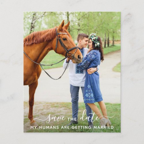 Modern Pet Photo Horse Wedding Save The Date