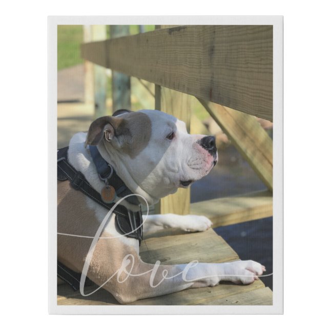 Modern Pet Photo Love Faux Canvas Print (Front)