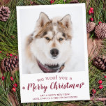 Modern Pet Photo Merry Christmas From The Dog Holiday Card<br><div class="desc">We Woof You A Merry Christmas! Send cute and fun holiday greetings with this super cute personalized custom pet photo holiday card. Merry Christmas wishes from the dog with cute paw prints in a fun modern photo design. Add your dog's photo or family photo with the dog, and personalize with...</div>