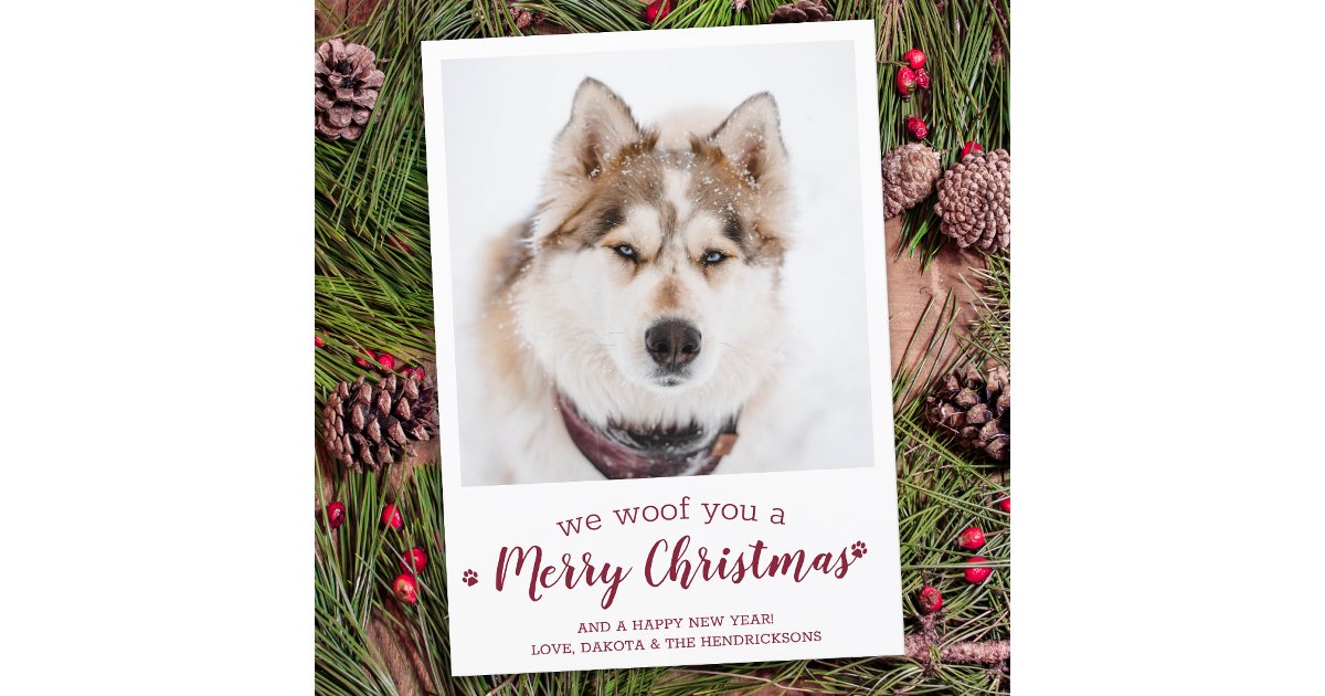 Modern Pet Photo Merry Christmas From The Dog Holiday Card | Zazzle