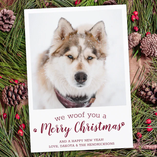 Modern Pet Photo Merry Christmas From The Dog Holiday Card | Zazzle