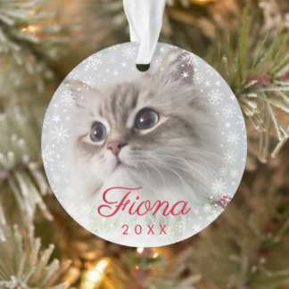 Modern Pet Photo Paw Print and Snowflake Frame Ornament