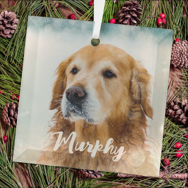 Modern Pet Photo Personalized Whimsical Dog Lover  Glass Ornament (Creator Uploaded)