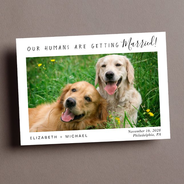 Modern Pet Photo Save the Date (Personalize with your pets' photo, your names and wedding date)