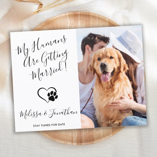 Modern Pet Photo Simple Dog Wedding Engagement  Announcement Postcard