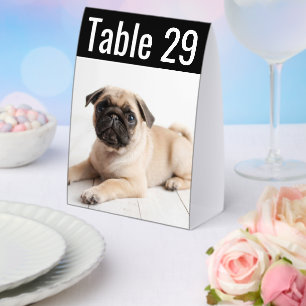Modern Pet Photo Wedding Table Number Paper Table Tent