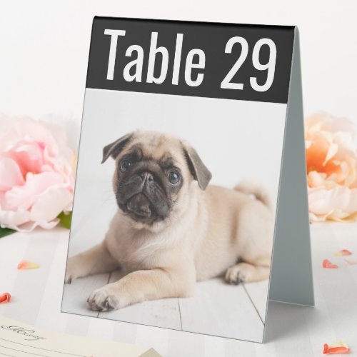 Modern Pet Photo Wedding Table Number Table Tent Sign