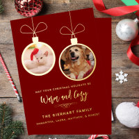 Modern Pet Photos Elegant Christmas