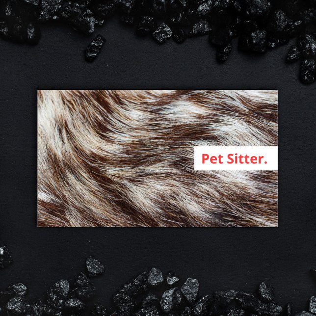 Modern Pet Sitter Dog Walker Grooming Veterinarian Business Card (Bold design Dog Walking and Pet Sitting Business card with fluffy fur and colorful modern type.)