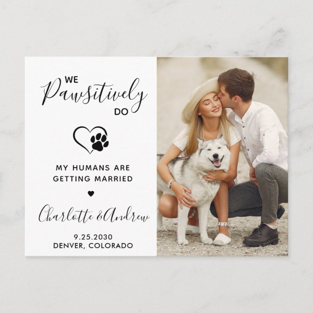 Modern Pet Wedding Photo Dog Save The Date Announcement Postcard (Front)