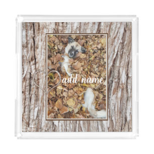 modern Photo collage dog pet funny Acrylic Tray