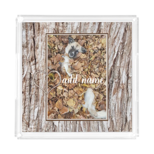 modern Photo collage dog pet funny Acrylic Tray (Front)