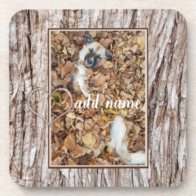 modern Photo collage dog pet funny Beverage Coaster (Front)