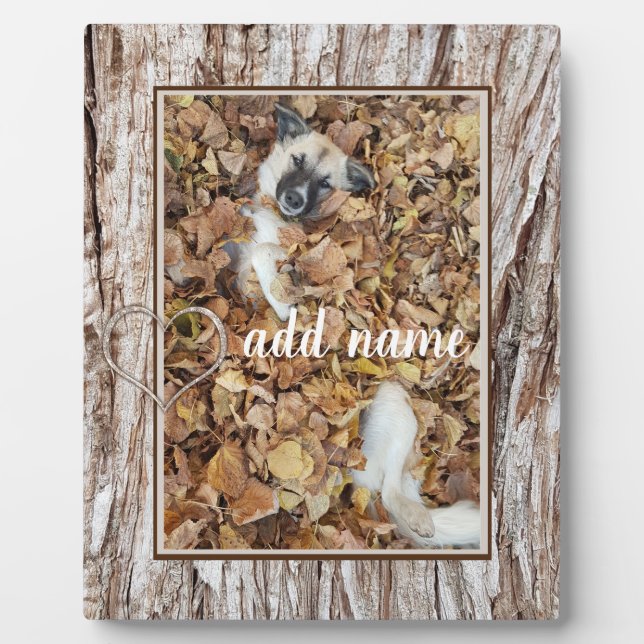 modern Photo collage dog pet funny Plaque (Front)