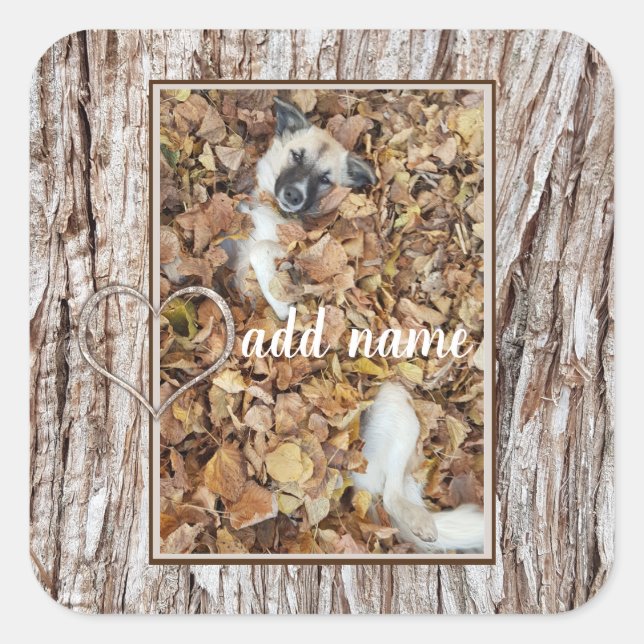 modern Photo collage dog pet funny Square Sticker (Front)