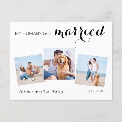 Modern Photo Collage Dog Wedding Elopement Announcement Postcard