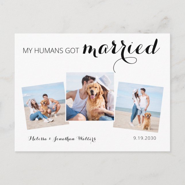 Modern Photo Collage Dog Wedding Elopement Announcement Postcard (Front)