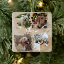 Modern Photo Collage Pet Through the Years Cute